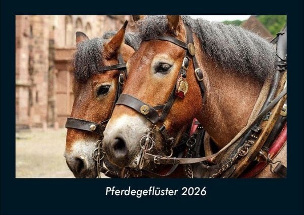 Produktbild: Pferdegefl&uuml;ster 2026 Fotokalender DIN A4