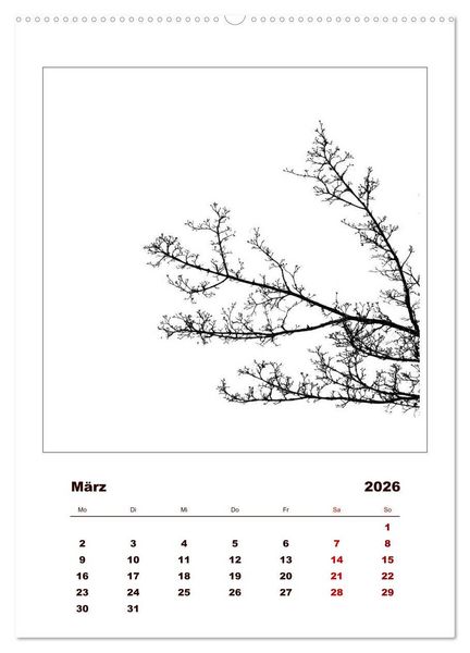 Produktbild: LignoGrafica - Muster und Strukturen der B&auml;ume (Wandkalender 2026 DIN A2 hoch), CALVENDO Monatskalender