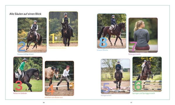 Produktbild: Die Reittrainings-Box