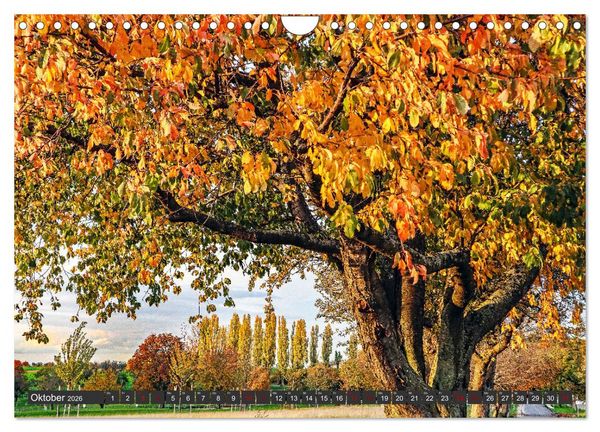 Produktbild: Karlsruhes Osten (Wandkalender 2026 DIN A4 quer), CALVENDO Monatskalender