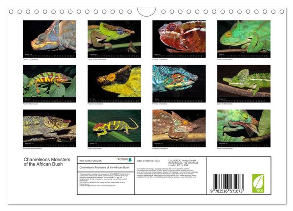 Produktbild: Chameleons Monsters of the African Bush (Wall Calendar 2026 DIN A4 landscape), CALVENDO 12 Month Wall Calendar