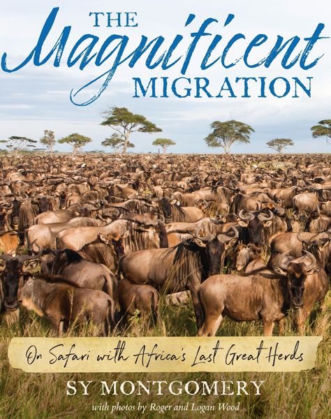 Produktbild: Magnificent Migration