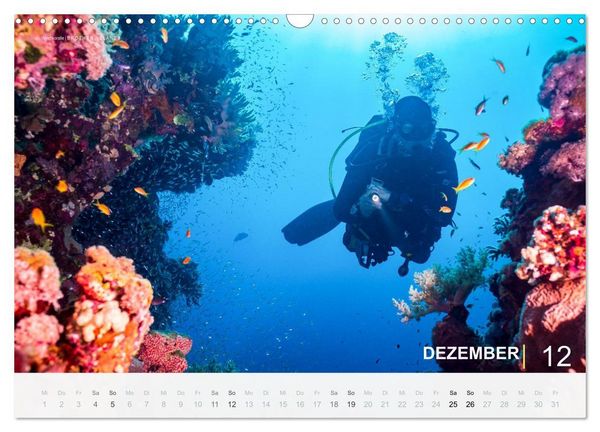 Produktbild: Die sch&ouml;nsten Korallenriffe zum Tauchen in &Auml;gypten (Wandkalender 2027 DIN A3 quer), CALVENDO Monatskalender