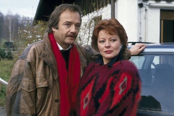 Produktbild: Waldhaus - Die komplette ZDF-Serie in 18 Teilen (Fernsehjuwelen) [6 DVDs]