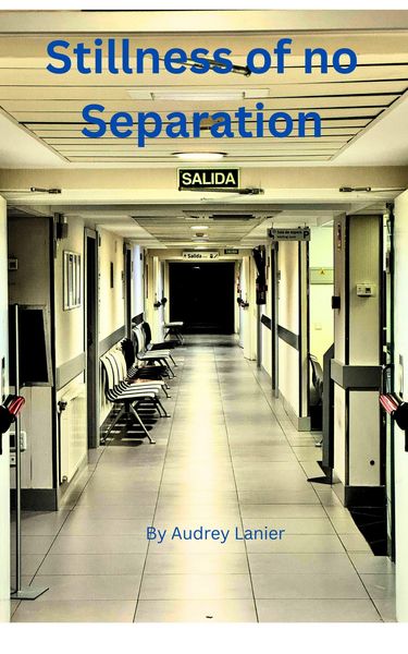 Produktbild: Stillness of no Separation