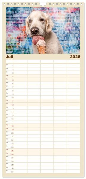 Produktbild: Familienplaner 2026 - Cool Dogs - Hunde-Spa&szlig; im Studio mit 5 Spalten (Wandkalender, 21 x 45 cm) CALVENDO