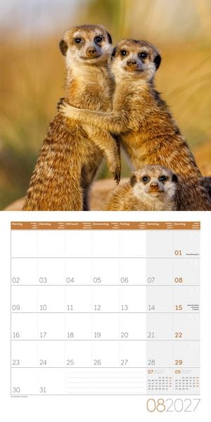 Produktbild: Erdm&auml;nnchen Kalender 2027 - 30x30 - Art12