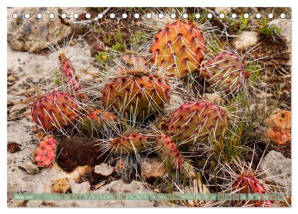 Produktbild: Grand Canyon National Park (Desk Calendar 2026 DIN A5 landscape), CALVENDO 12 Month DeskCalendar