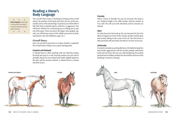 Produktbild: How to Think Like a Horse