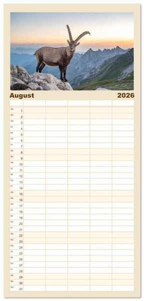 Produktbild: Familienplaner 2026 - Steinb&ouml;cke - Eindr&uuml;ckliche K&ouml;nige der Alpen mit 5 Spalten (Wandkalender, 21 x 45 cm) CALVENDO