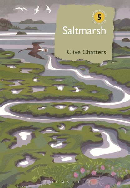 Produktbild: Saltmarsh