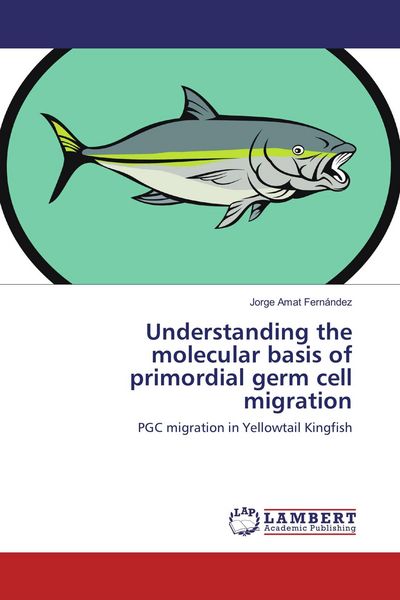 Produktbild: Understanding the molecular basis of primordial germ cell migration