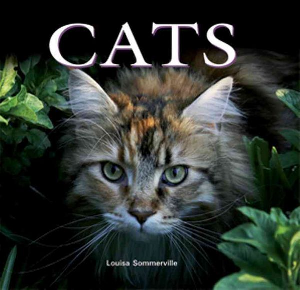 Produktbild: Cats