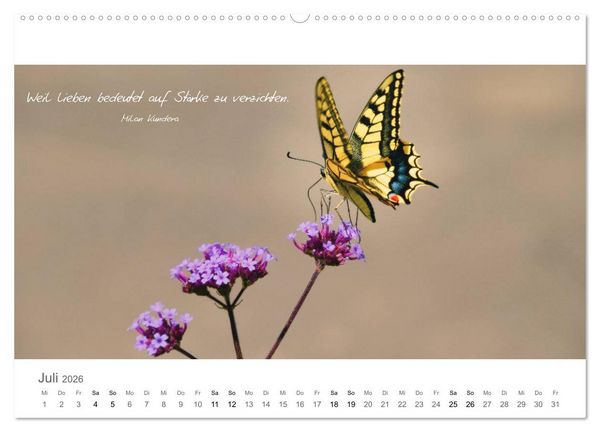 Produktbild: Rendezvous im Park (hochwertiger Premium Wandkalender 2026 DIN A2 quer), Kunstdruck in Hochglanz