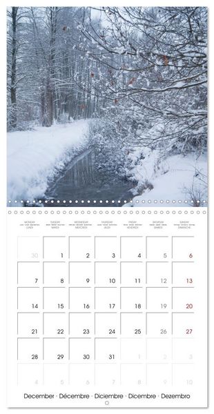 Produktbild: Spreewald - A Natural Paradise (Wall Calendar 2026 12 &times; 12 Inch) CALVENDO 12 Month Wall Calendar