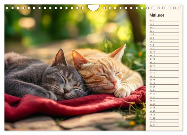 Produktbild: Katzen schaffen Kunst (Wandkalender 2026 DIN A4 quer), CALVENDO Monatskalender