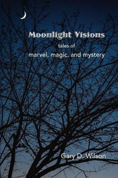 Produktbild: Moonlight Visions