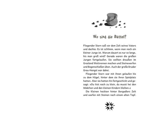 Produktbild: Fliegender Stern