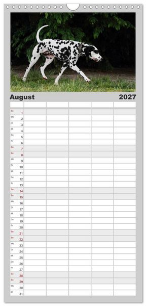 Produktbild: Familienplaner 2027 - Gefleckte Freunde - Hunderasse Dalmatiner mit 5 Spalten (Wandkalender, 21 x 45 cm) CALVENDO