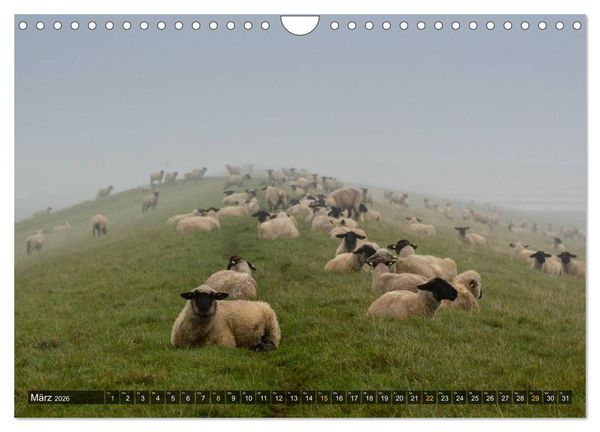 Produktbild: Impressionen aus dem Wesermarsch - Butjadingen 2026 (Wandkalender 2026 DIN A4 quer), CALVENDO Monatskalender