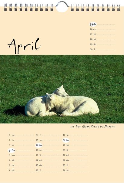 Produktbild: Sylt-die Insel 2027 A4 Kalender