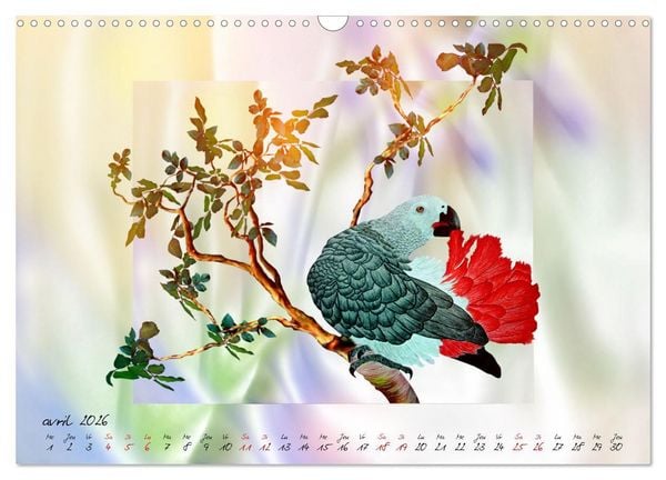 Produktbild: Dessins de perroquets (Calendrier mural 2026 DIN A3 vertical), CALVENDO calendrier mensuel