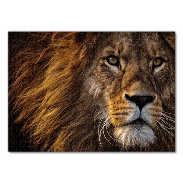 Produktbild: Lais Puzzle L&ouml;we 1000 Teile