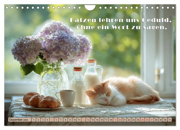 Produktbild: Miau-velous Pfotenpoesie (Wandkalender 2026 DIN A4 quer), CALVENDO Monatskalender