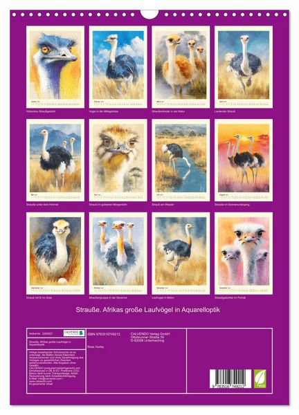 Produktbild: Strau&szlig;e. Afrikas gro&szlig;e Laufv&ouml;gel in Aquarelloptik (Wandkalender 2027 DIN A3 hoch), CALVENDO Monatskalender