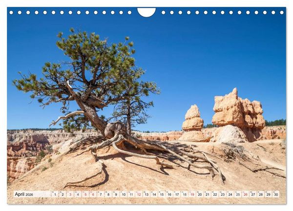 Produktbild: ARIZONA UND UTAH Ein einzigartiges Erlebnis (Wandkalender 2026 DIN A4 quer), CALVENDO Monatskalender