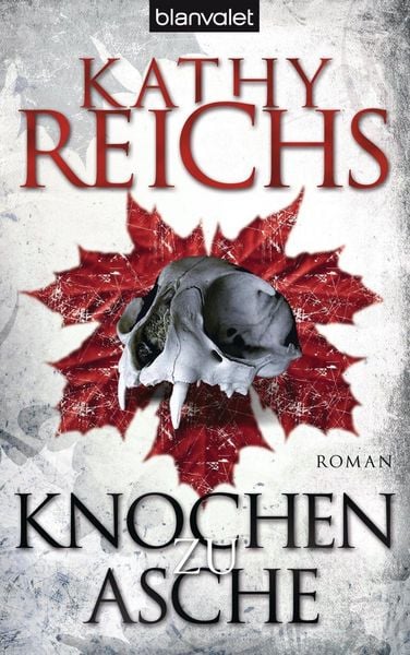 Produktbild: Knochen zu Asche