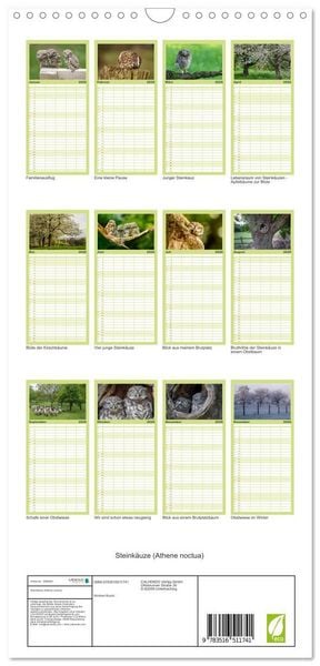 Produktbild: Familienplaner 2026 - Steink&auml;uze (Athene noctua) mit 5 Spalten (Wandkalender, 21 x 45 cm) CALVENDO