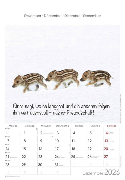 Produktbild: Kleine Freunde 2026 - Bildkalender 23,7x34 cm - Kalender mit Platz für Notizen - mit vielen Zusatzinformationen - Wandkalender - Alpha Edition