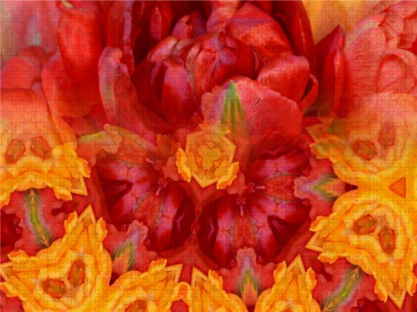 Produktbild: CALVENDO Puzzle Ein Motiv aus dem Kalender Tulpenphantasie | 1000 Teile Lege-Gr&ouml;&szlig;e 64x48cm Foto-Puzzle f&uuml;r gl&uuml;ckliche Stunden