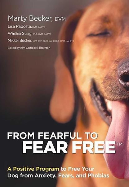 Produktbild: From Fearful to Fear Free