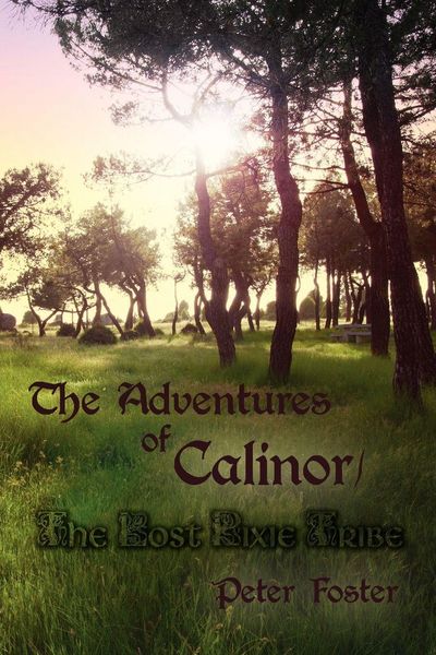 Produktbild: The Adventures of Calinor / The Lost Pixie Tribe