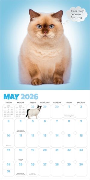 Produktbild: Chonkers Wall Calendar 2026