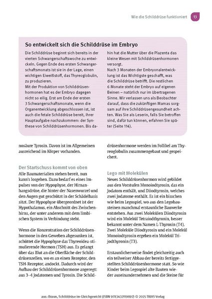 Produktbild: Schilddr&uuml;se im Gleichgewicht