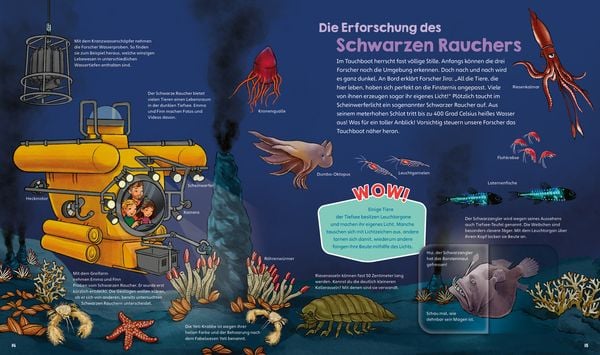 Produktbild: WAS IST WAS Junior Band 42 Erforsche die Ozeane!