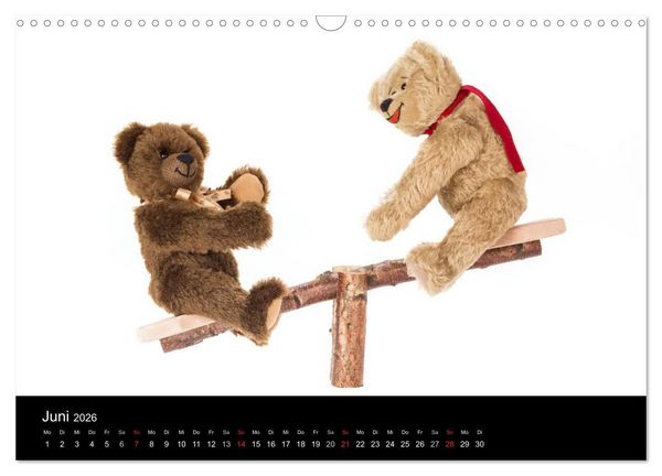 Produktbild: Martin B&auml;ren aus Sonneberg (Wandkalender 2026 DIN A3 quer), CALVENDO Monatskalender