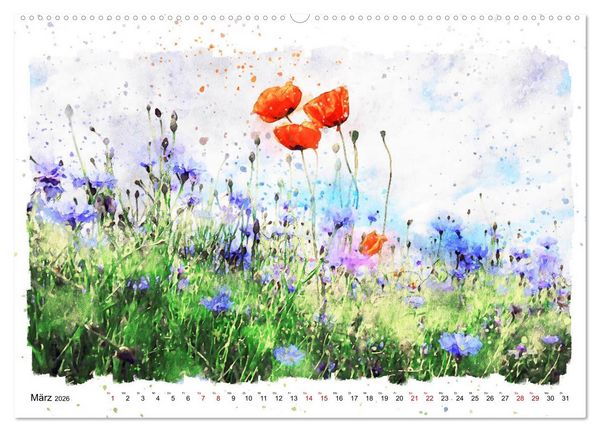 Produktbild: Mohnbl&uuml;ten in Aquarell (hochwertiger Premium Wandkalender 2026 DIN A2 quer), Kunstdruck in Hochglanz