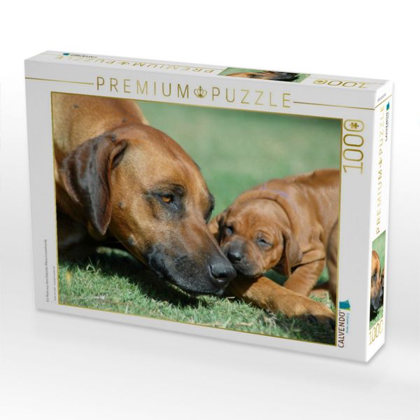 Produktbild: CALVENDO Puzzle Ein Motiv aus dem Kalender Kleine L&ouml;wenhunde | 1000 Teile Lege-Gr&ouml;&szlig;e 64x48cm Foto-Puzzle f&uuml;r gl&uuml;ckliche Stunden
