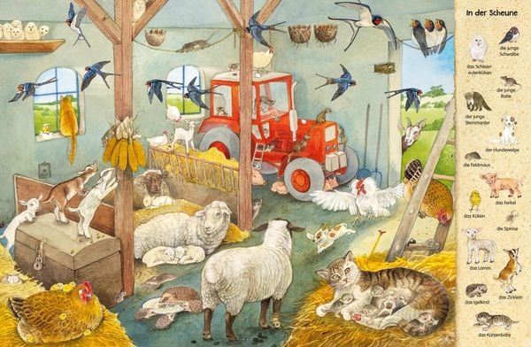 Mein erstes Wimmelbuch: Tierkinder