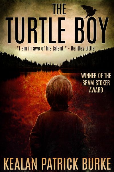 Produktbild: The Turtle Boy (The Timmy Quinn Series, #1)