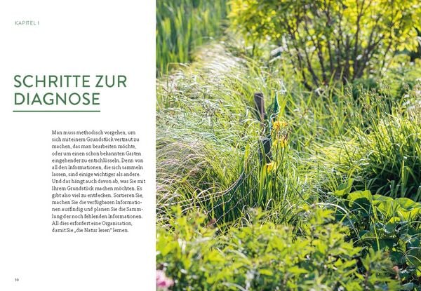Produktbild: Pflanzengefl&uuml;ster