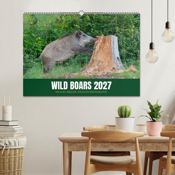 Produktbild: Wild Boars (Wall Calendar 2027 DIN A2 landscape), CALVENDO 12 Month Wall Calendar