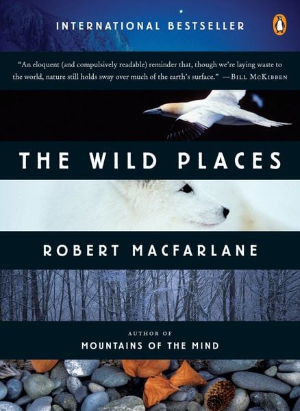 Produktbild: The Wild Places