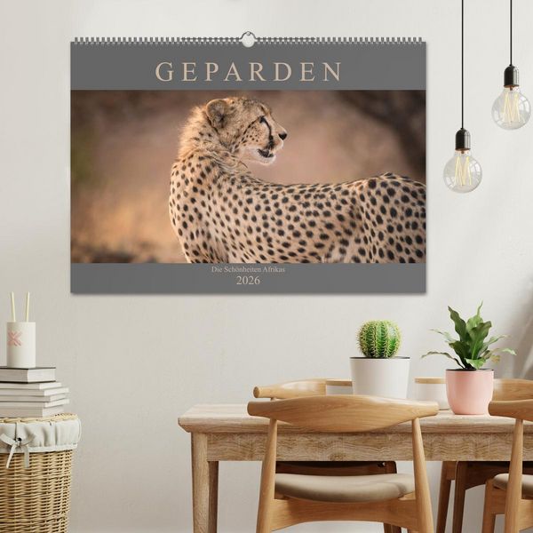 Produktbild: Geparden - Die Sch&ouml;nheiten Afrikas (Wandkalender 2026 DIN A2 quer), CALVENDO Monatskalender