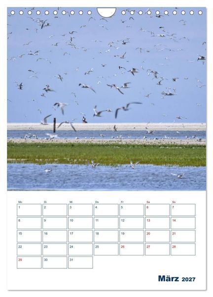 Produktbild: Texel - Momente die verzaubern (Wandkalender 2027 DIN A4 hoch), CALVENDO Monatskalender