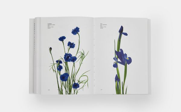 Produktbild: Flower Colour Guide